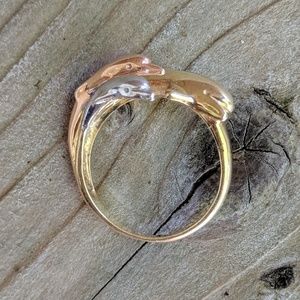 Dolphin Ring